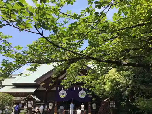 東京大神宮の本殿