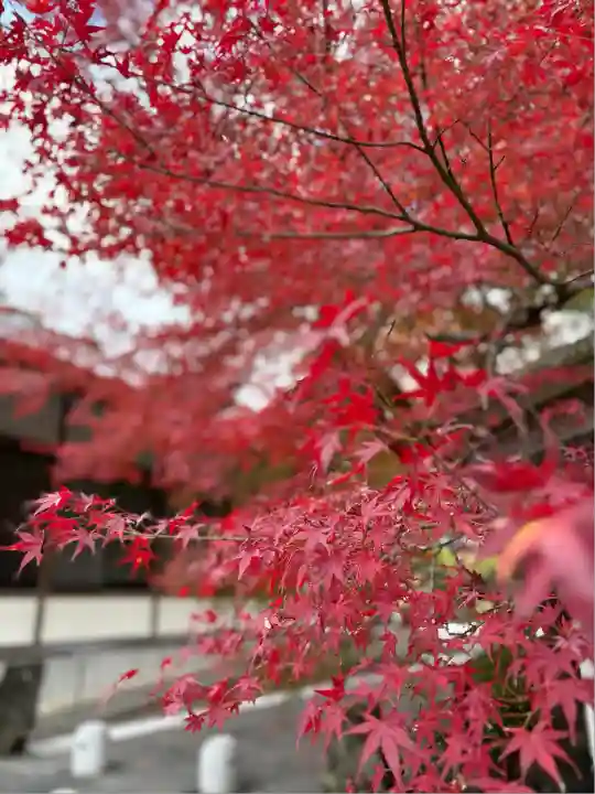修禅寺(静岡県)