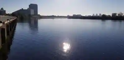 東八幡神社の周辺