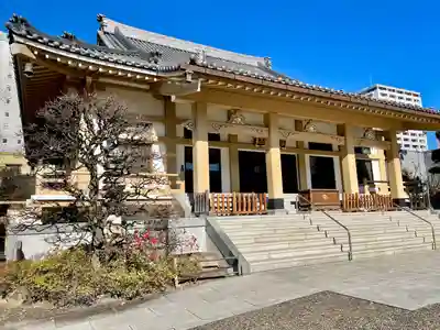霊巌寺(東京都)