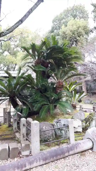 御香宮神社(京都府)