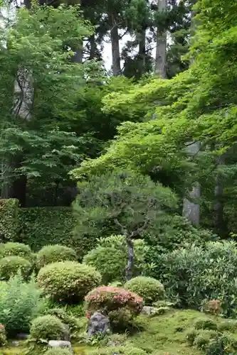 三千院門跡(京都府)