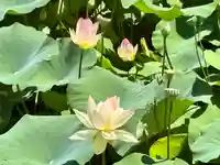 蚊里田八幡宮(長野県)