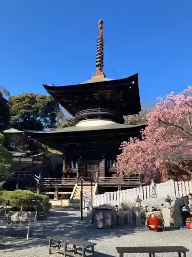 楽法寺（雨引観音）の{uncategorized: "未分類", other: "その他", undefined: "問題あり", building: "その他建物", grave: "お墓", sacred_gate: "鳥居", guardian: "狛犬", statue: "像", buddha: "仏像", history: "歴史", nature: "自然", garden: "庭園", animal: "動物", pagoda: "塔", temizu: "手水舎", mountain_gate: "山門・神門", sanctuary: "本殿・本堂", subordinate: "末社・摂社", art: "芸術", scenery: "景色", jizo: "地蔵", ema: "絵馬", goshuin: "御朱印", omikuji: "おみくじ", items: "授与品その他", amulet: "お守り", goshuincho: "御朱印帳", eats: "食事", festival: "お祭り", votive_dance: "神楽", shichigosan: "七五三参", wedding: "結婚式", experience: "体験その他", initially: "初詣", around: "周辺", anti_infection: "感染症対策"}