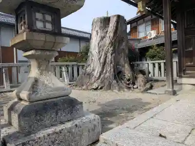 塞神神社の{uncategorized: "未分類", other: "その他", undefined: "問題あり", building: "その他建物", grave: "お墓", sacred_gate: "鳥居", guardian: "狛犬", statue: "像", buddha: "仏像", history: "歴史", nature: "自然", garden: "庭園", animal: "動物", pagoda: "塔", temizu: "手水舎", mountain_gate: "山門・神門", sanctuary: "本殿・本堂", subordinate: "末社・摂社", art: "芸術", scenery: "景色", jizo: "地蔵", ema: "絵馬", goshuin: "御朱印", omikuji: "おみくじ", items: "授与品その他", amulet: "お守り", goshuincho: "御朱印帳", eats: "食事", festival: "お祭り", votive_dance: "神楽", shichigosan: "七五三参", wedding: "結婚式", experience: "体験その他", initially: "初詣", around: "周辺", anti_infection: "感染症対策"}