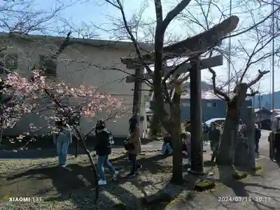 天鷹神社(岐阜県)