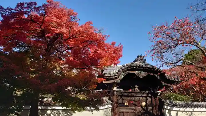妙顯寺(妙顕寺)(京都府)