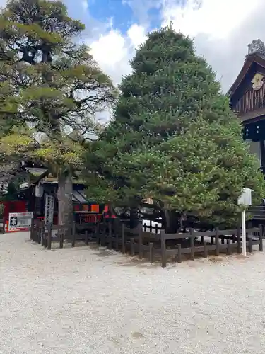 賀茂御祖神社（下鴨神社）の自然