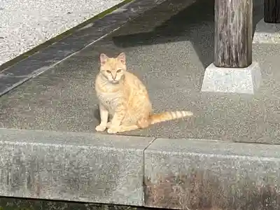 大日寺(高知県)