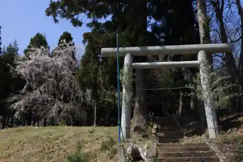 鷲神社の鳥居