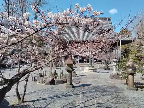 穴太寺(京都府)