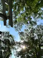 白鳥神社(長野県)