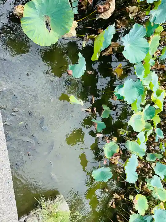 旗上弁財天社の動物