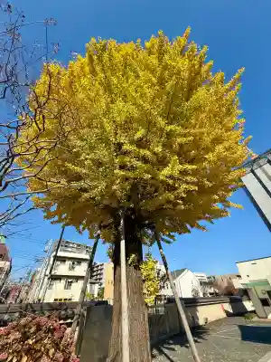 勝楽寺(東京都)