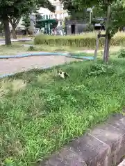 溝旗神社（肇國神社）の動物