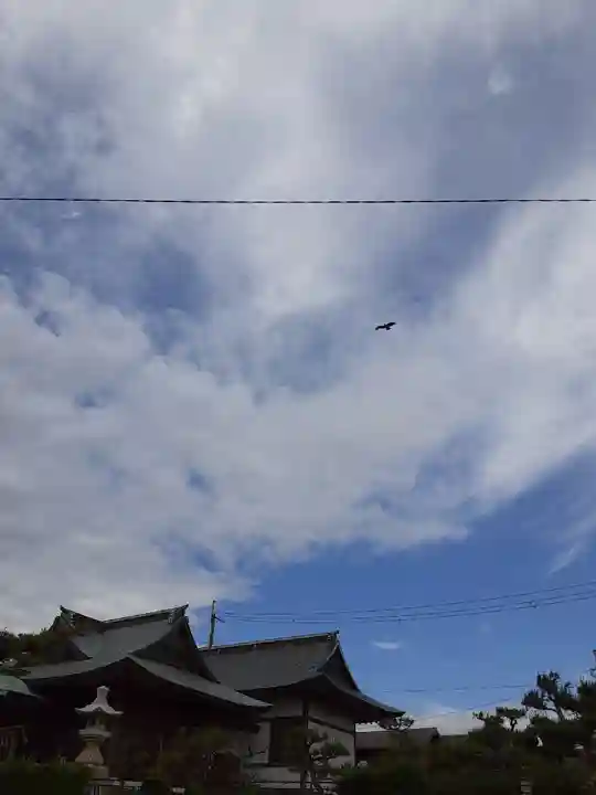 住吉神社の動物