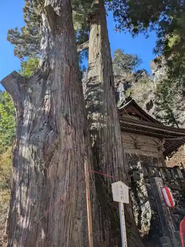 榛名神社(群馬県)