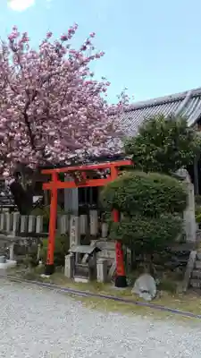 櫻本坊の鳥居