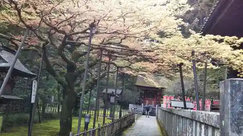 北口本宮冨士浅間神社の自然