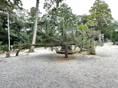 倭白山比咩神社（南出）の自然