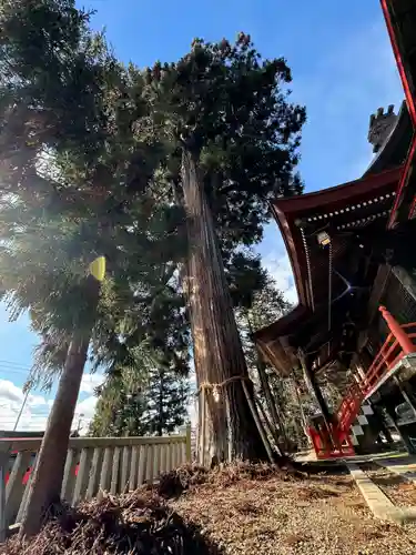 鼬幣稲荷神社(岩手県)