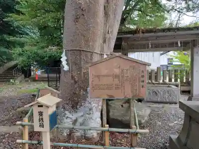 少比古那神社の{uncategorized: "未分類", other: "その他", undefined: "問題あり", building: "その他建物", grave: "お墓", sacred_gate: "鳥居", guardian: "狛犬", statue: "像", buddha: "仏像", history: "歴史", nature: "自然", garden: "庭園", animal: "動物", pagoda: "塔", temizu: "手水舎", mountain_gate: "山門・神門", sanctuary: "本殿・本堂", subordinate: "末社・摂社", art: "芸術", scenery: "景色", jizo: "地蔵", ema: "絵馬", goshuin: "御朱印", omikuji: "おみくじ", items: "授与品その他", amulet: "お守り", goshuincho: "御朱印帳", eats: "食事", festival: "お祭り", votive_dance: "神楽", shichigosan: "七五三参", wedding: "結婚式", experience: "体験その他", initially: "初詣", around: "周辺", anti_infection: "感染症対策"}