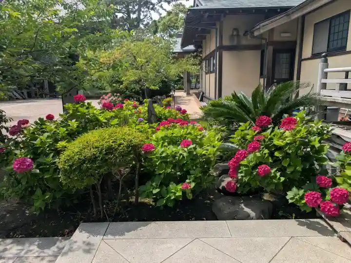 光明寺(神奈川県)