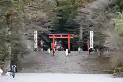 霧島神宮の鳥居