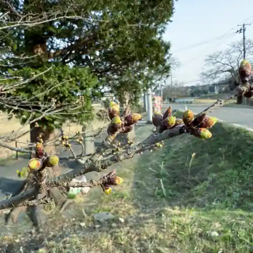 高司神社〜むすびの神の鎮まる社〜(福島県)
