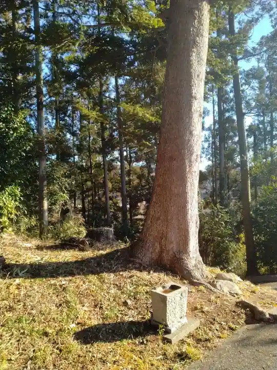 熊野神社(宮城県)