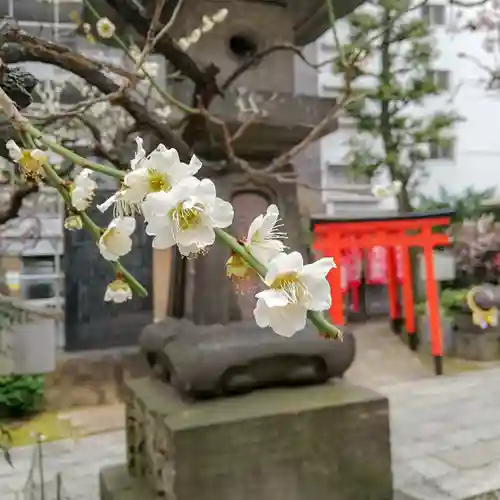 平河天満宮の自然