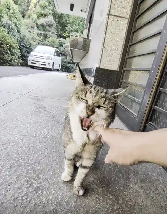 白金氷川神社(東京都)