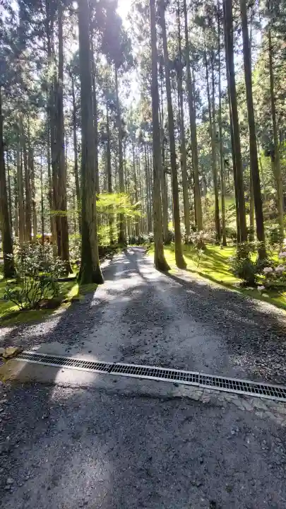 御岩神社の{uncategorized: "未分類", other: "その他", undefined: "問題あり", building: "その他建物", grave: "お墓", sacred_gate: "鳥居", guardian: "狛犬", statue: "像", buddha: "仏像", history: "歴史", nature: "自然", garden: "庭園", animal: "動物", pagoda: "塔", temizu: "手水舎", mountain_gate: "山門・神門", sanctuary: "本殿・本堂", subordinate: "末社・摂社", art: "芸術", scenery: "景色", jizo: "地蔵", ema: "絵馬", goshuin: "御朱印", omikuji: "おみくじ", items: "授与品その他", amulet: "お守り", goshuincho: "御朱印帳", eats: "食事", festival: "お祭り", votive_dance: "神楽", shichigosan: "七五三参", wedding: "結婚式", experience: "体験その他", initially: "初詣", around: "周辺", anti_infection: "感染症対策"}