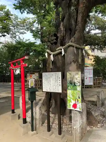 新田神社の自然