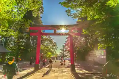 霧島神宮(鹿児島県)