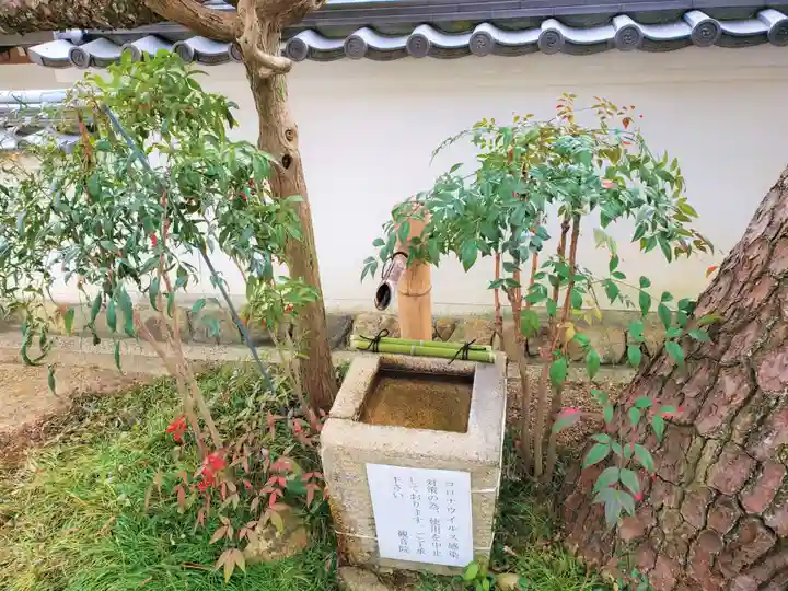 観音院の手水舎