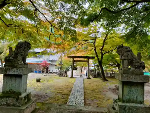 八王子神社の狛犬