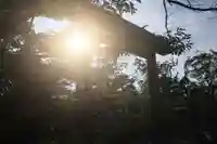 開成山大神宮の鳥居