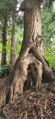 向川寺(山形県)