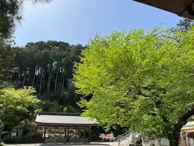 高麗神社(埼玉県)