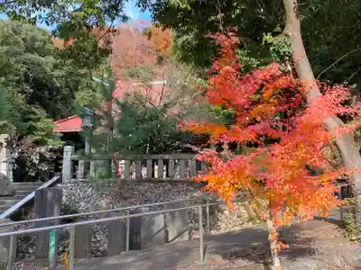 阿豆佐味天神社(東京都)