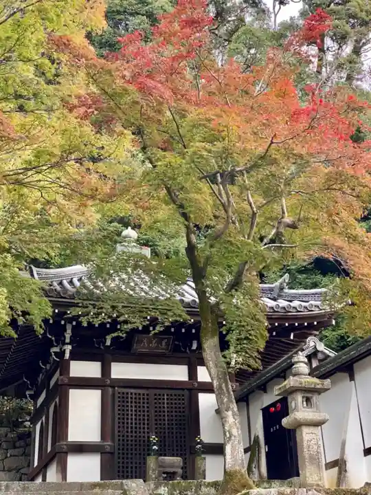 知恩院のその他建物