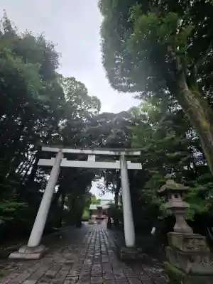 武蔵野八幡宮(東京都)