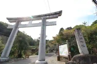 武蔵二宮 金鑚神社(埼玉県)