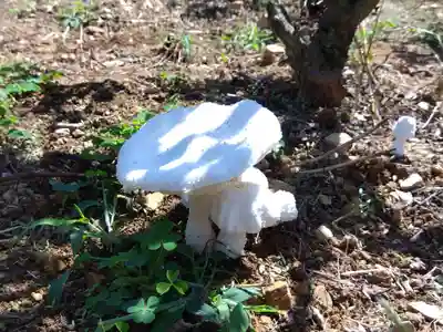 和合神社(福井県)