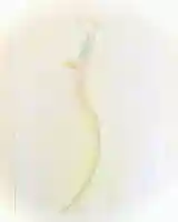 鹿嶋三嶋神社(茨城県)