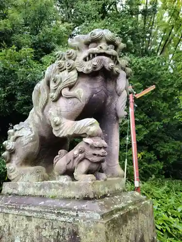 神炊館神社 ⁂奥州須賀川総鎮守⁂の狛犬