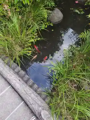 朝日弁財天(東京都)