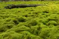 大山祇神社(高知県)