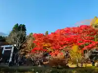 土津神社|こどもと出世の神さまの景色